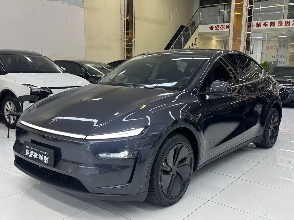 Tesla Model Y — фото 1