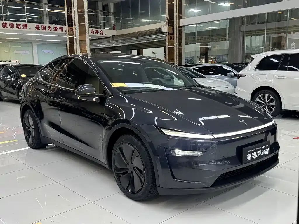 Tesla Model Y — фото 6