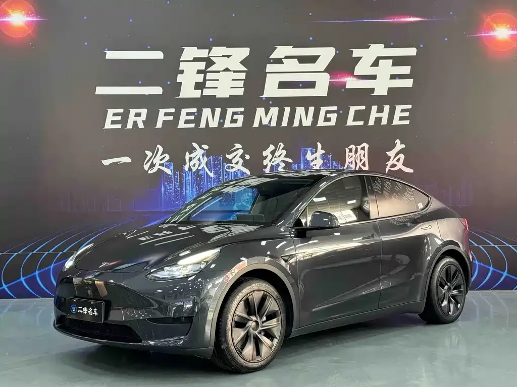Tesla Model Y — фото 1