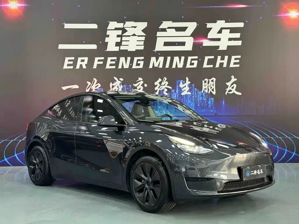 Tesla Model Y — фото 2