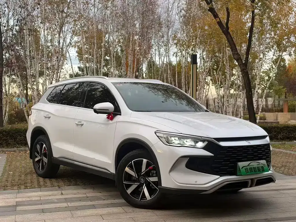 BYD Pro New Energy — фото 1