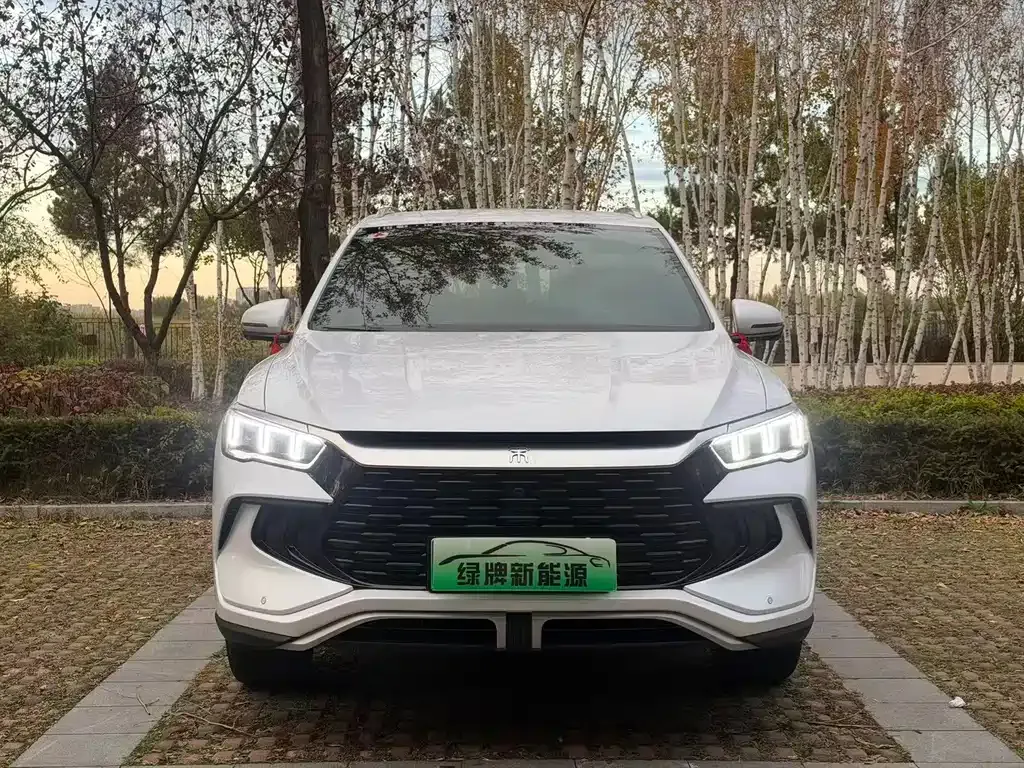 BYD Pro New Energy — фото 5