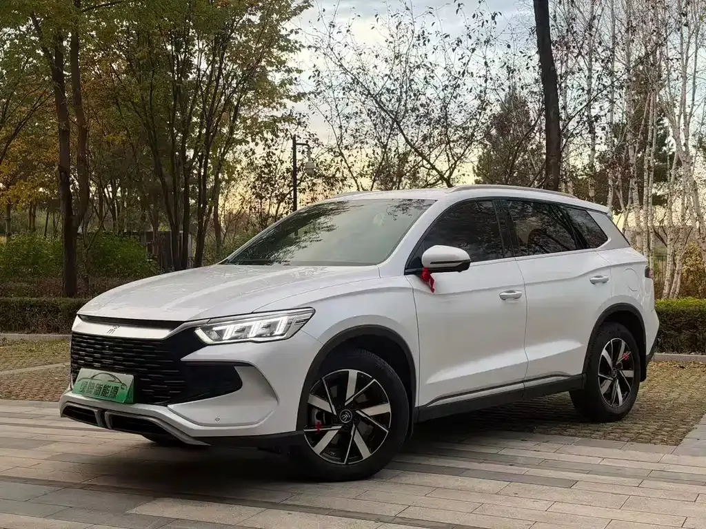 BYD Pro New Energy — фото 7
