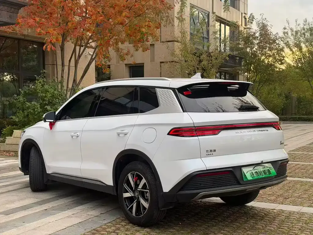 BYD Pro New Energy — фото 8
