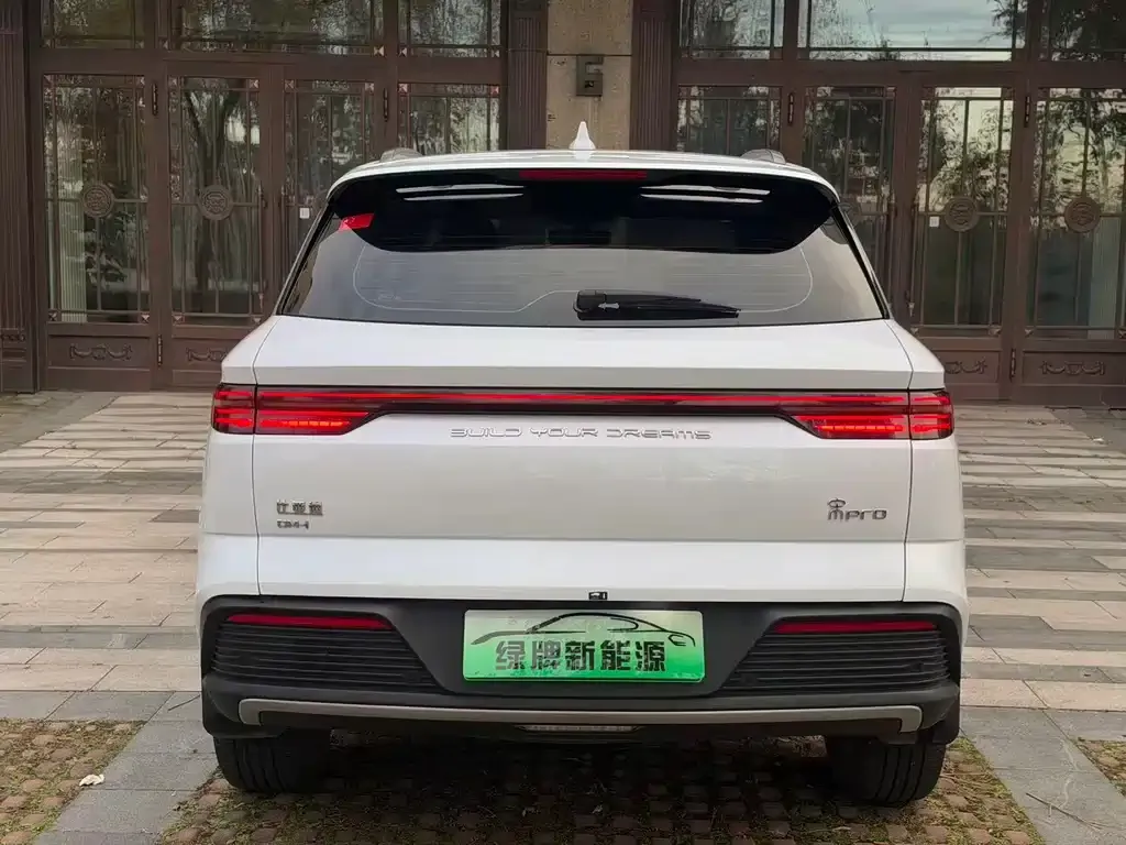 BYD Pro New Energy — фото 6
