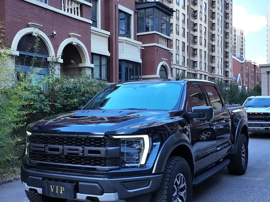 Ford F-150 Raptor — фото 1