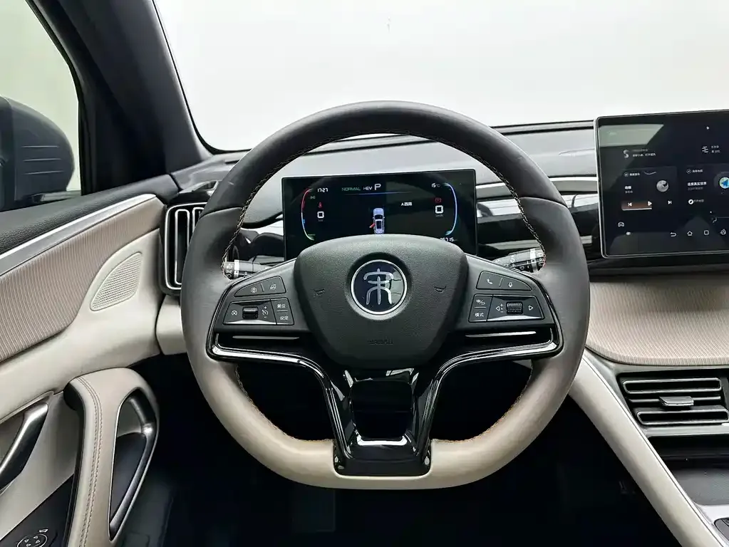 BYD Pro New Energy — фото 6