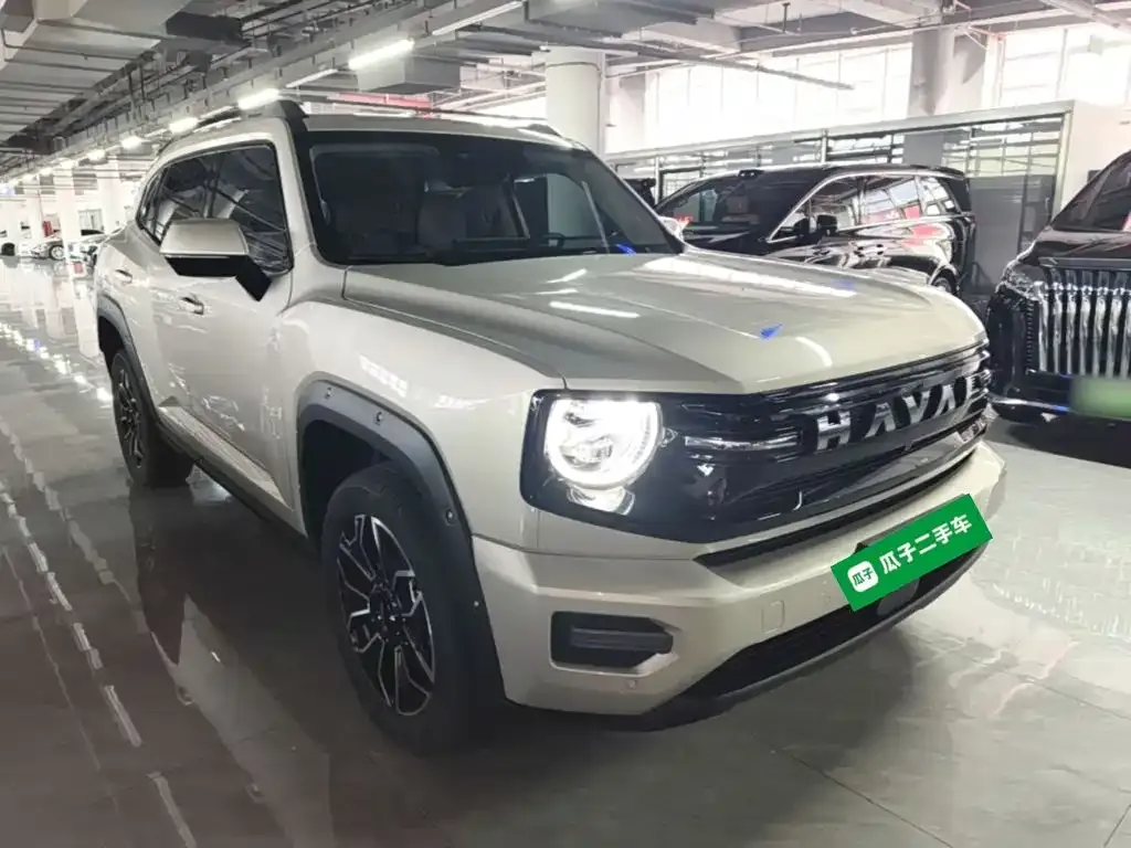 Haval Big Dog PLUS New Energy — фото 6
