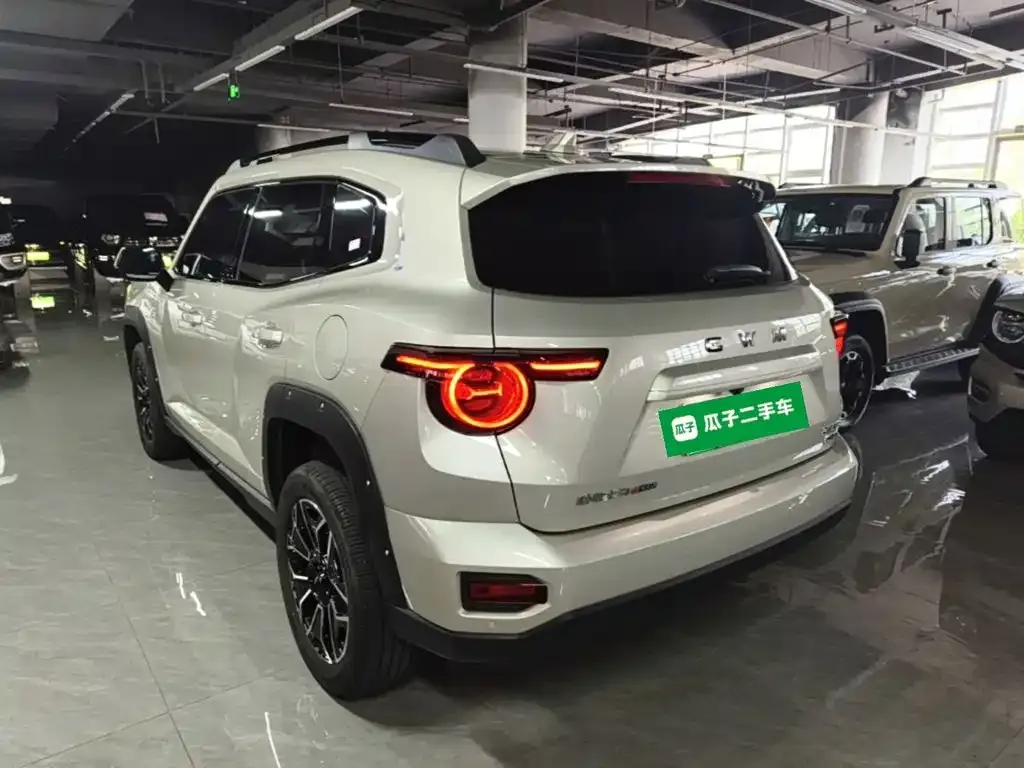Haval Big Dog PLUS New Energy — фото 10