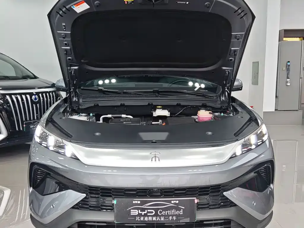 BYD Pro New Energy — фото 10