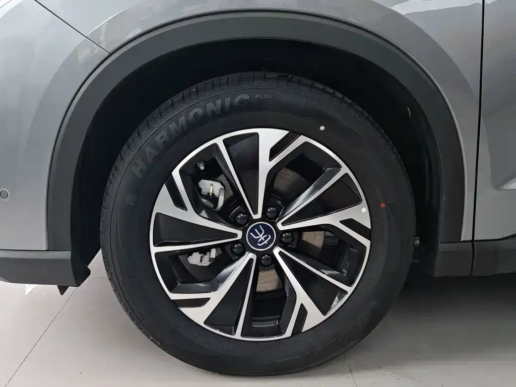 BYD Pro New Energy — фото 7