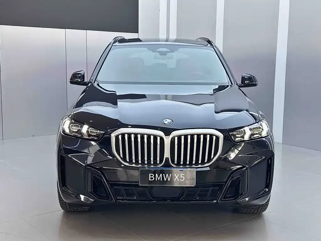 BMW X5 — фото 3