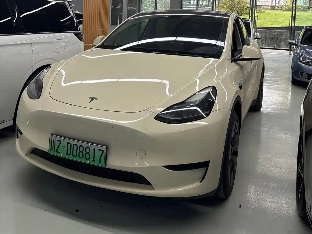 Tesla Model Y — фото 1