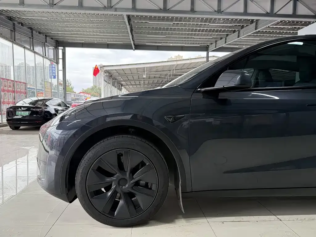 Tesla Model Y — фото 10