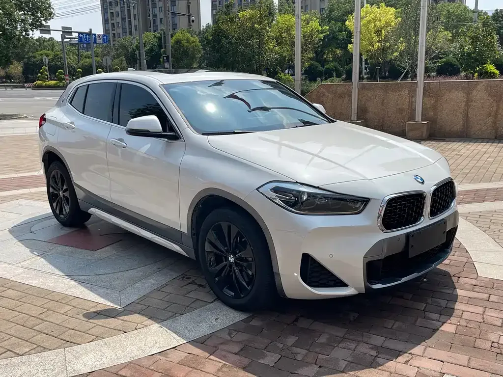 BMW X2 — фото 10