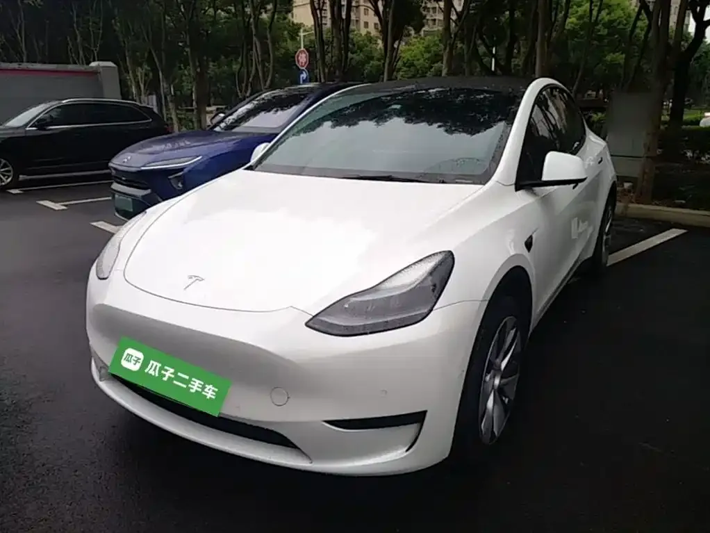 Tesla Model Y — фото 10