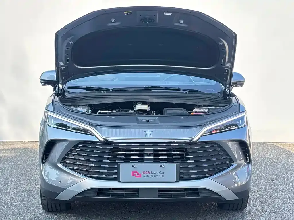 BYD L DM-i — фото 9