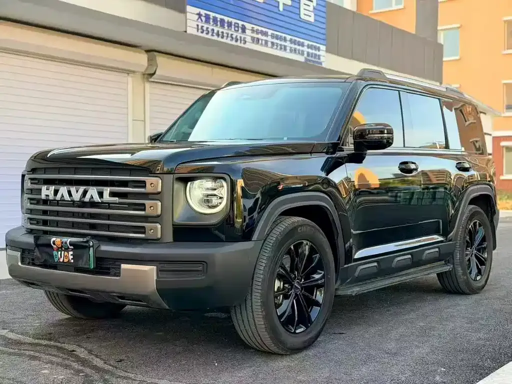 Haval Menglong New Energy — фото 1