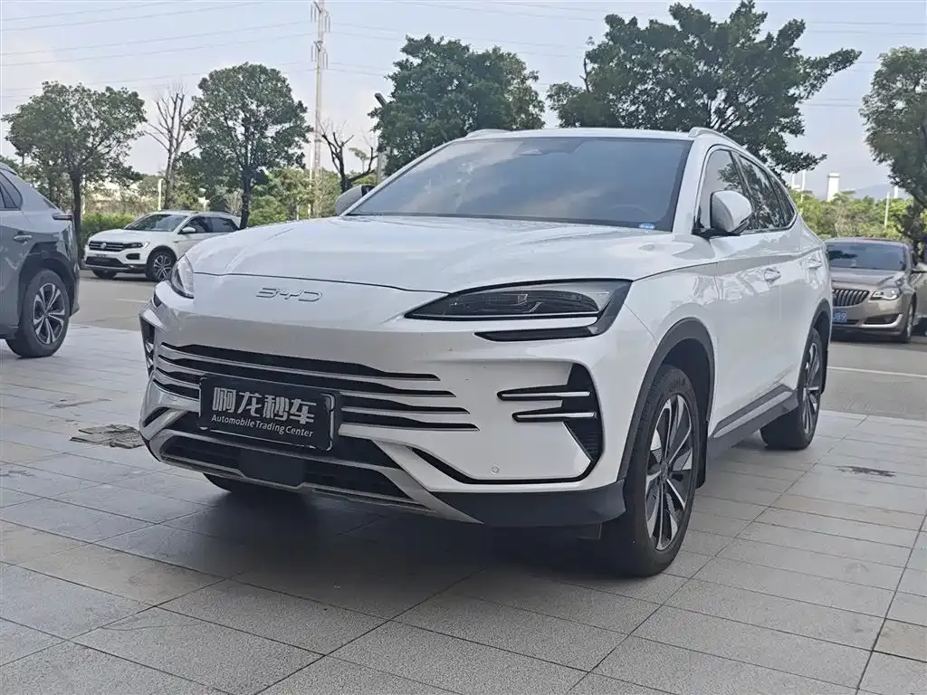 BYD PLUS New Energy — фото 1