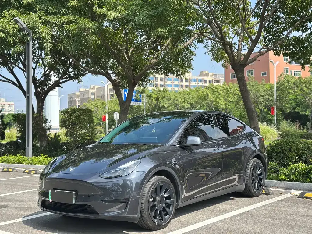 Tesla Model Y — фото 1