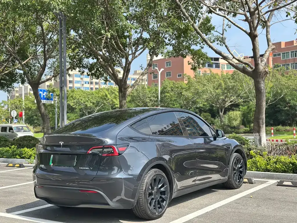Tesla Model Y — фото 8