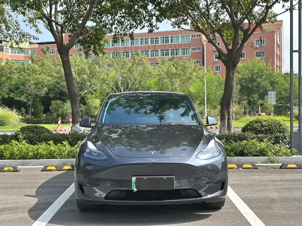 Tesla Model Y — фото 3