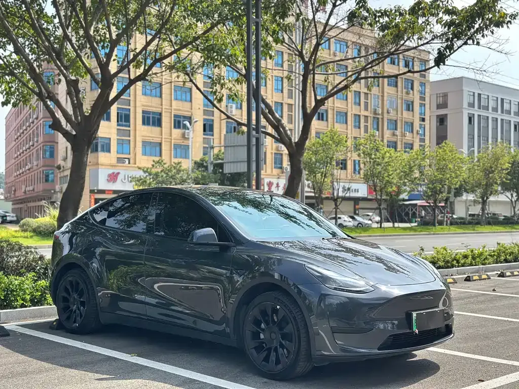 Tesla Model Y — фото 5
