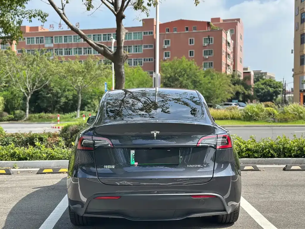 Tesla Model Y — фото 10