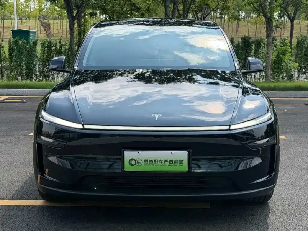 Tesla Model Y — фото 4