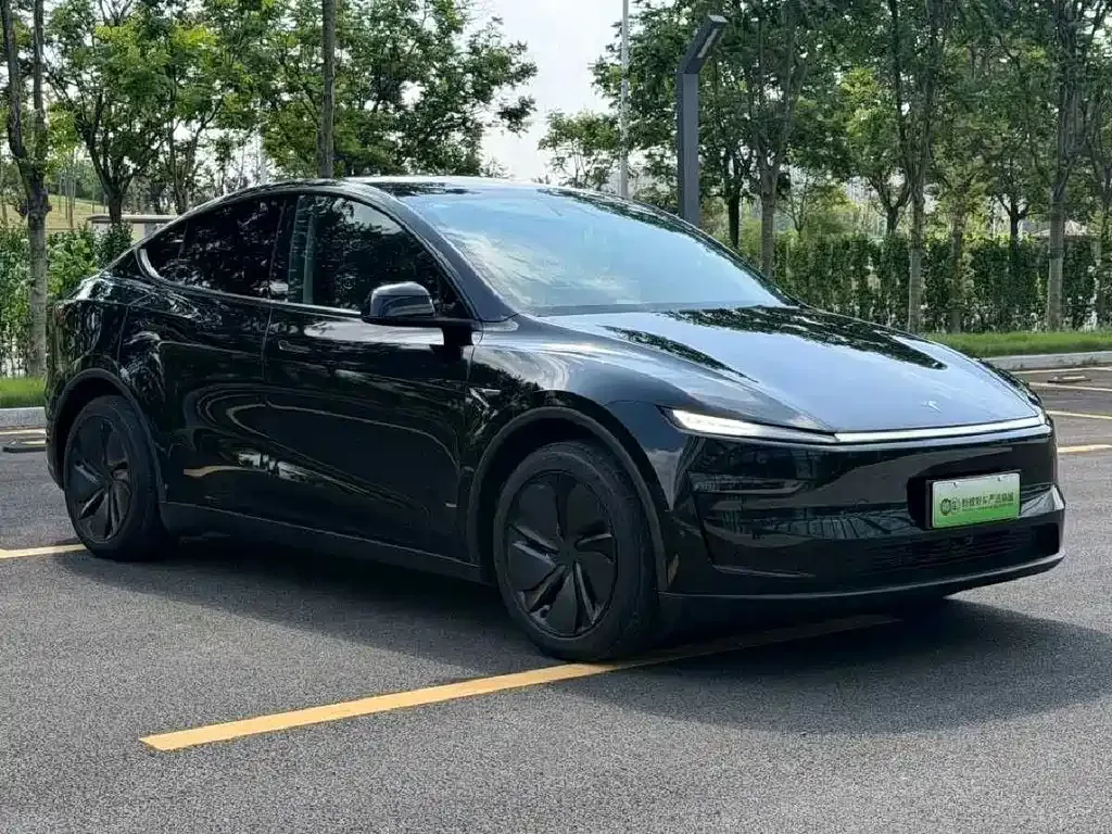 Tesla Model Y — фото 10