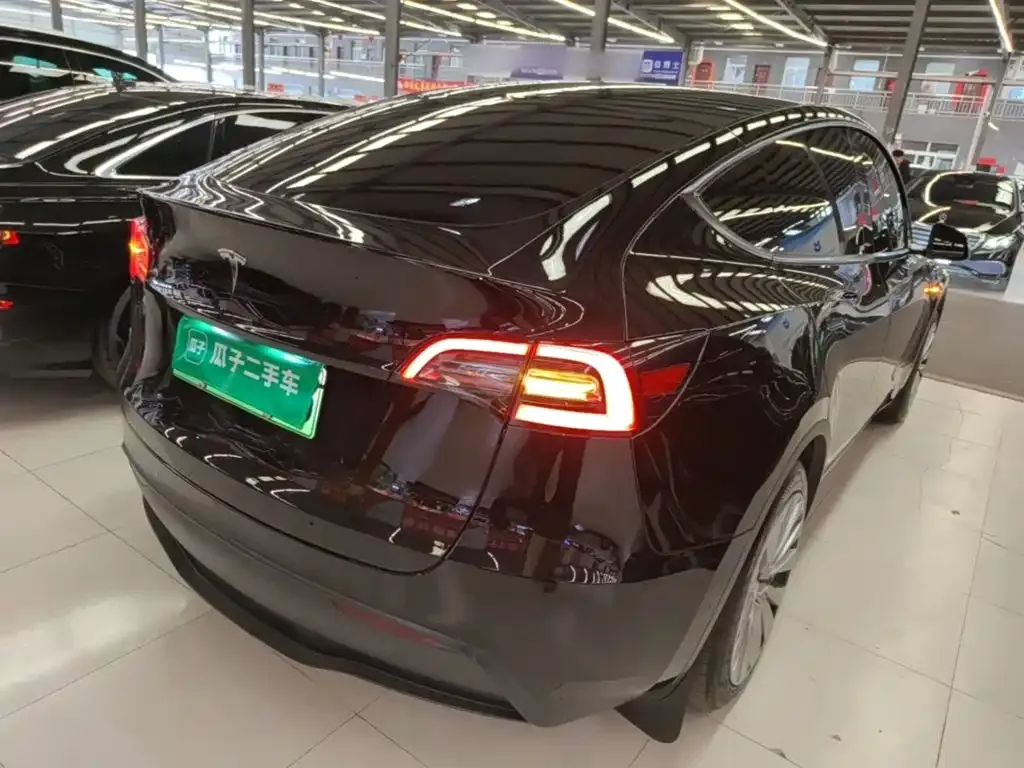 Tesla Model Y — фото 10