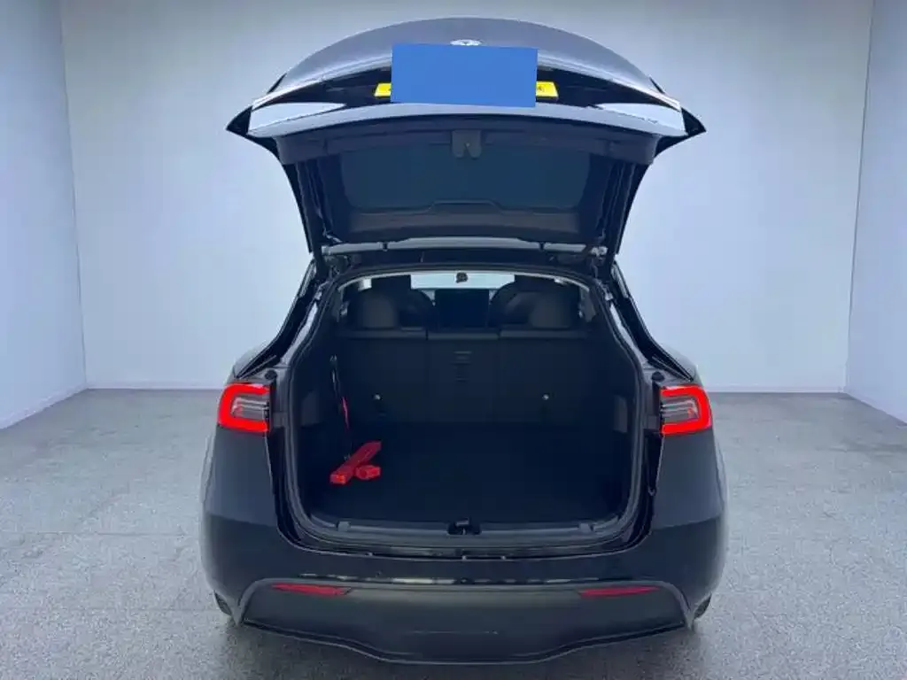 Tesla Model Y — фото 10