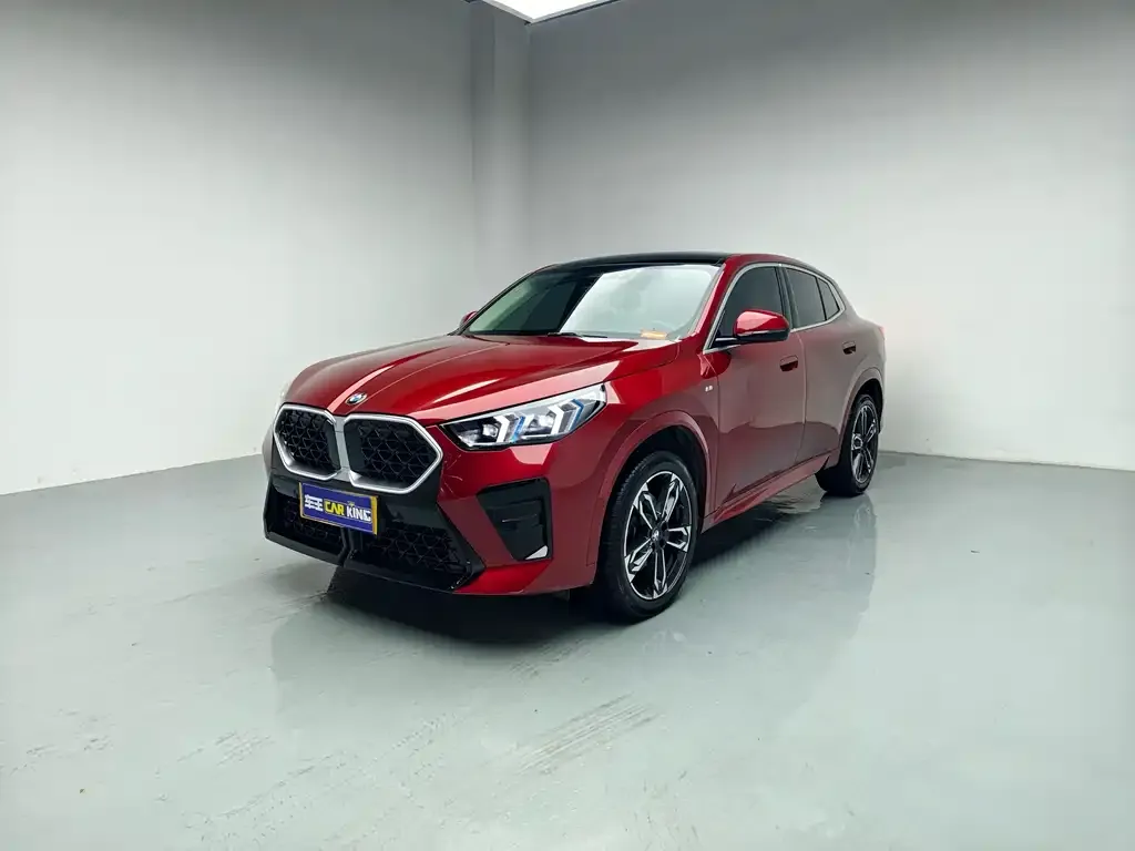BMW X2 (Import) — фото 1