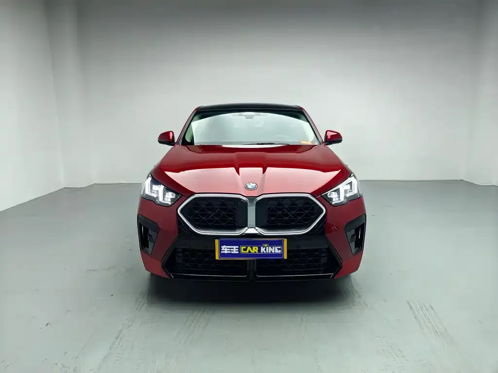 BMW X2 (Import) — фото 4