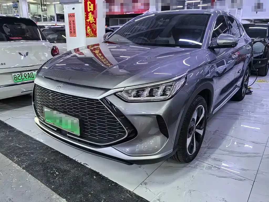 BYD PLUS New Energy — фото 1