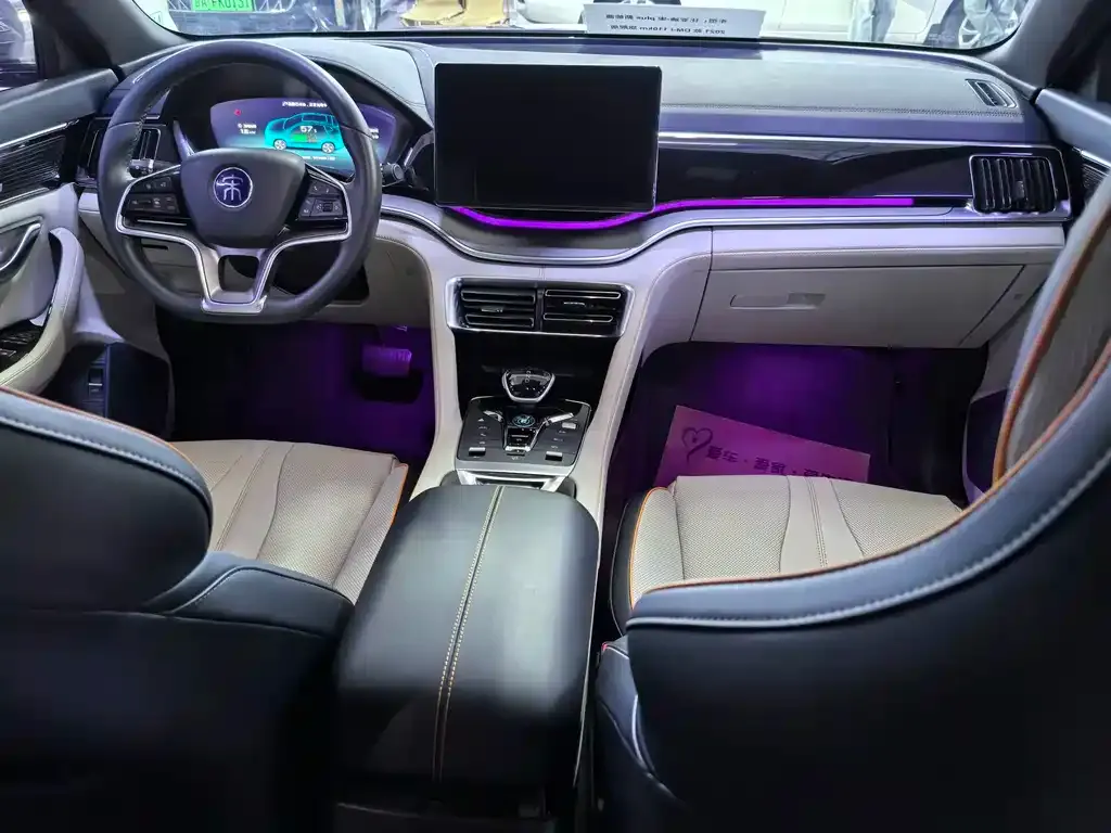 BYD PLUS New Energy — фото 2