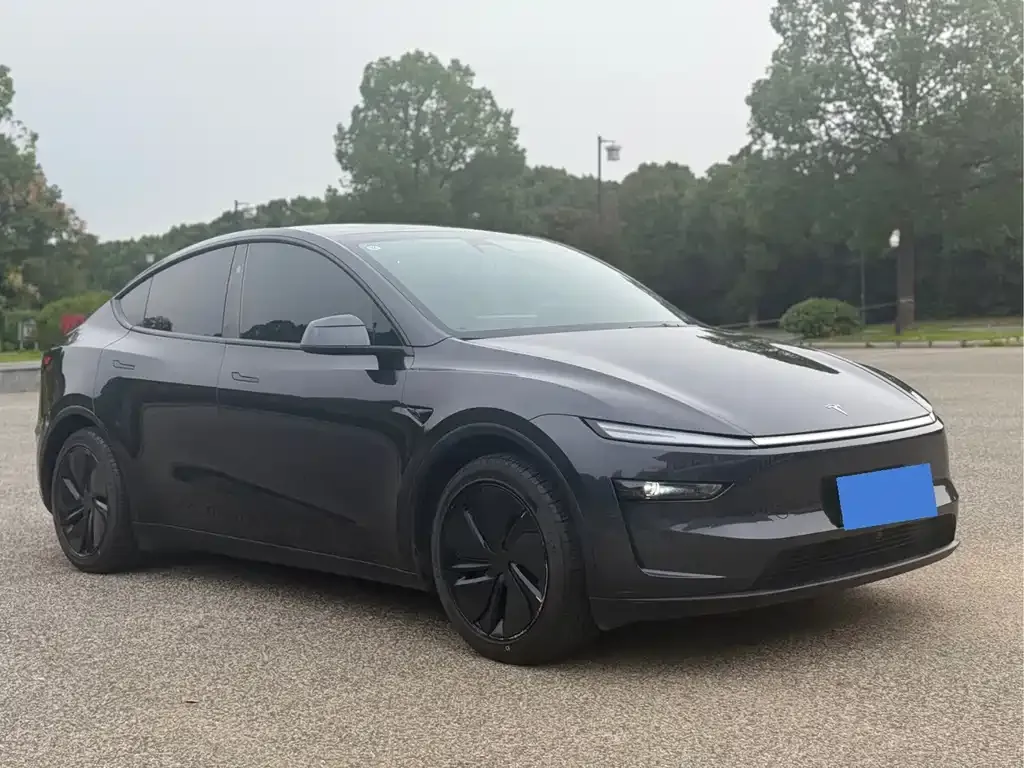 Tesla Model Y — фото 10