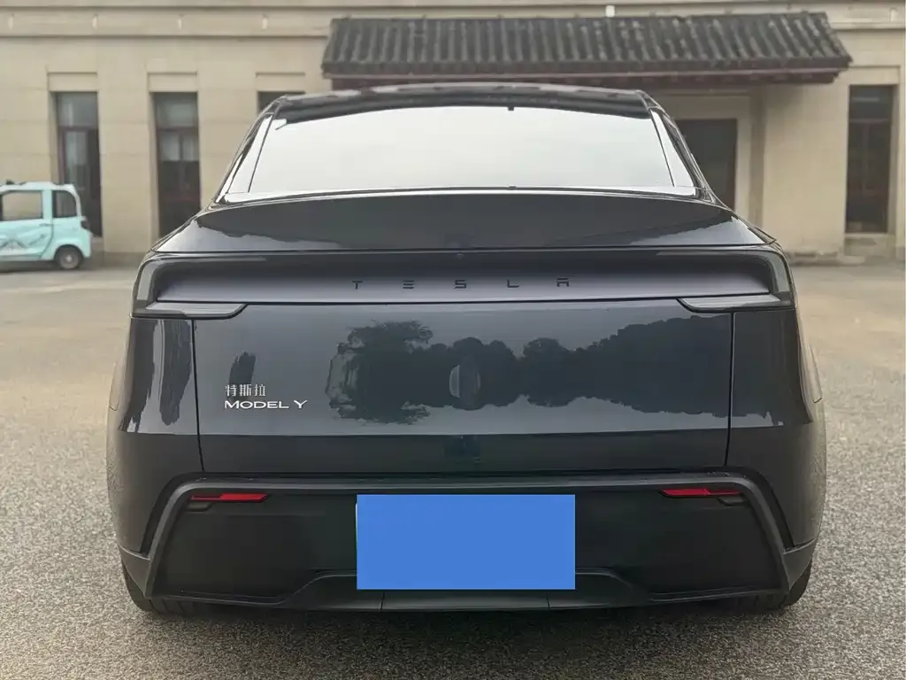 Tesla Model Y — фото 2