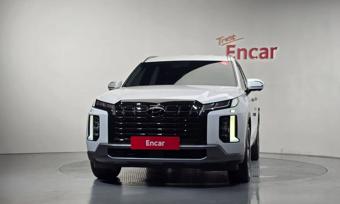 Hyundai Palisade — фото 10