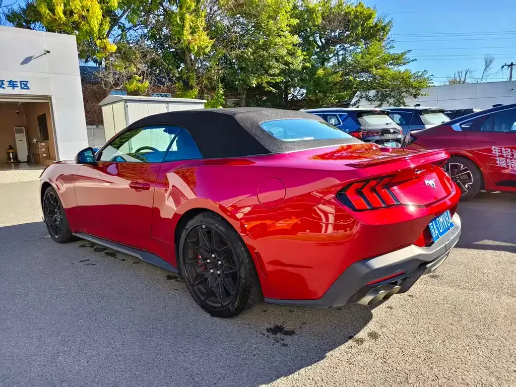 Ford Mustang — фото 10
