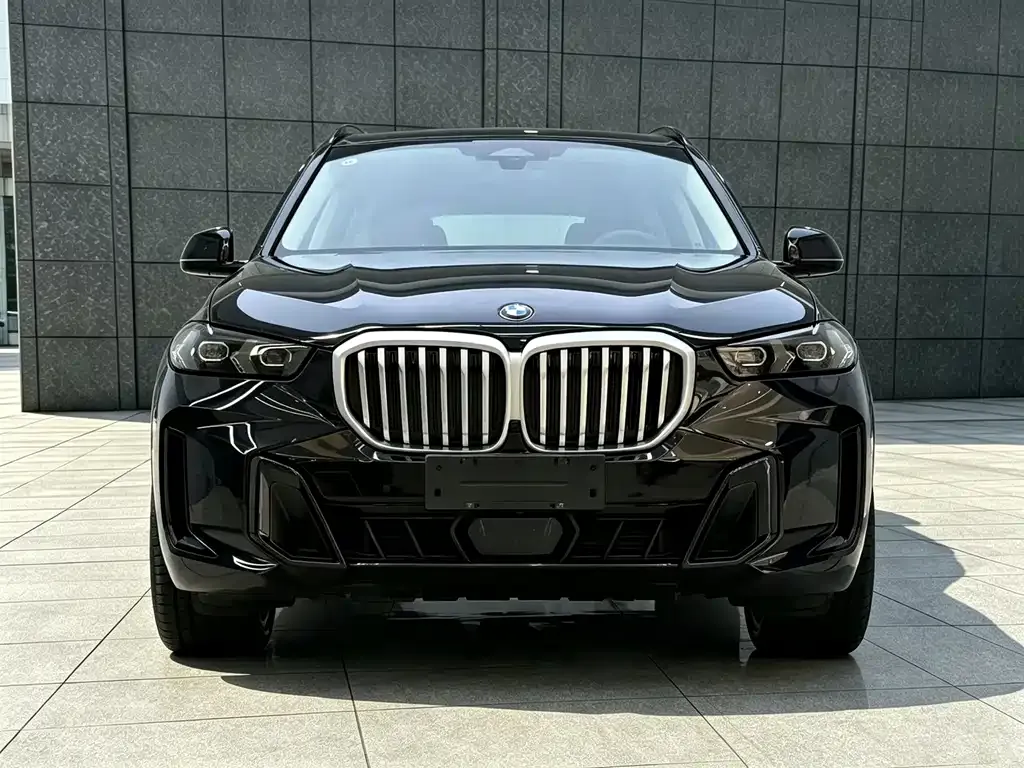 BMW X5 — фото 7