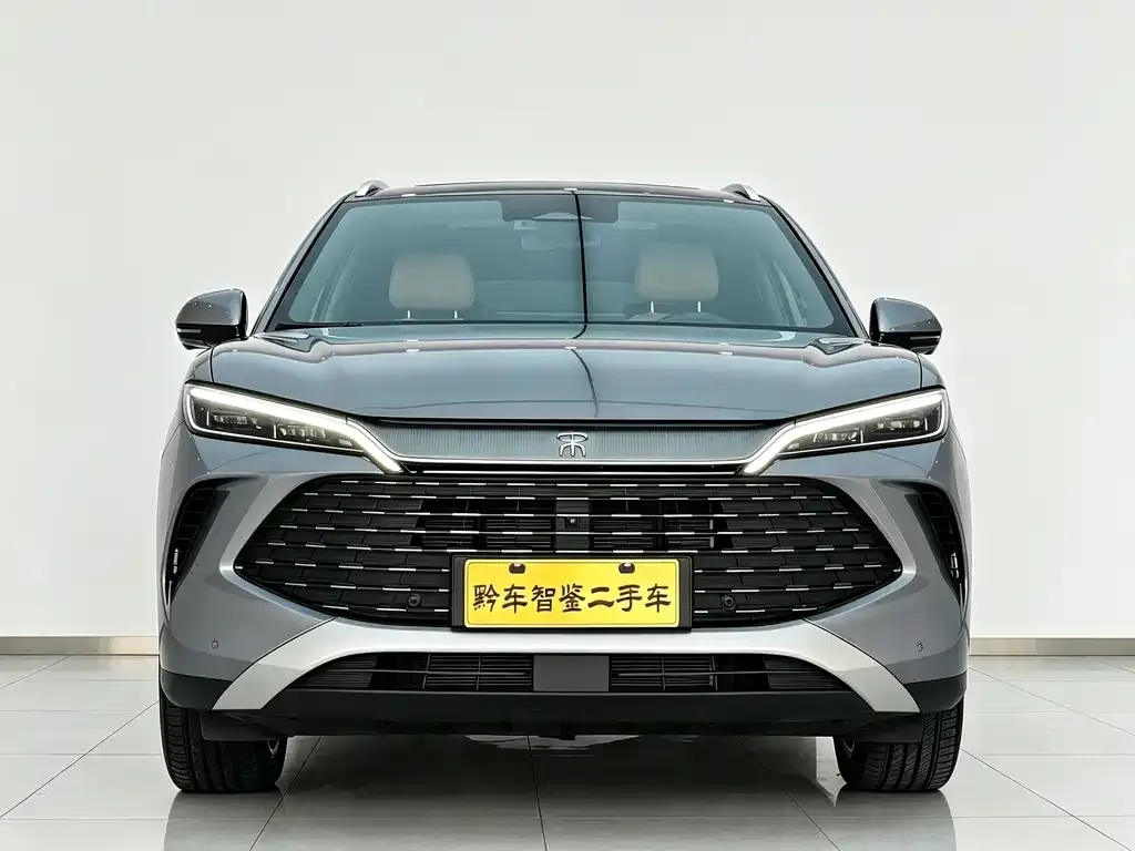 BYD L DM-i — фото 6