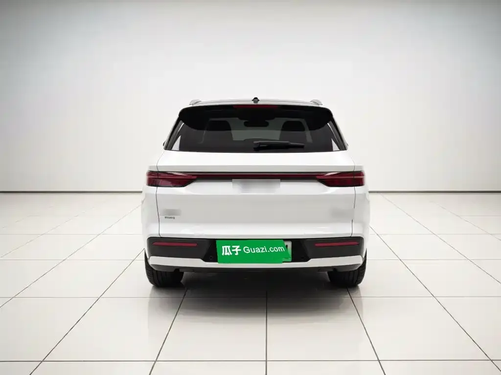 BYD Pro New Energy — фото 2