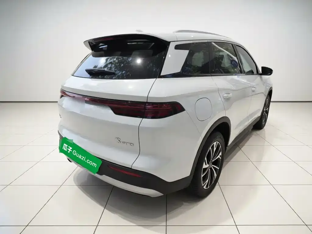 BYD Pro New Energy — фото 3