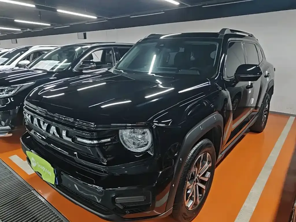 Haval Big Dog PLUS — фото 1
