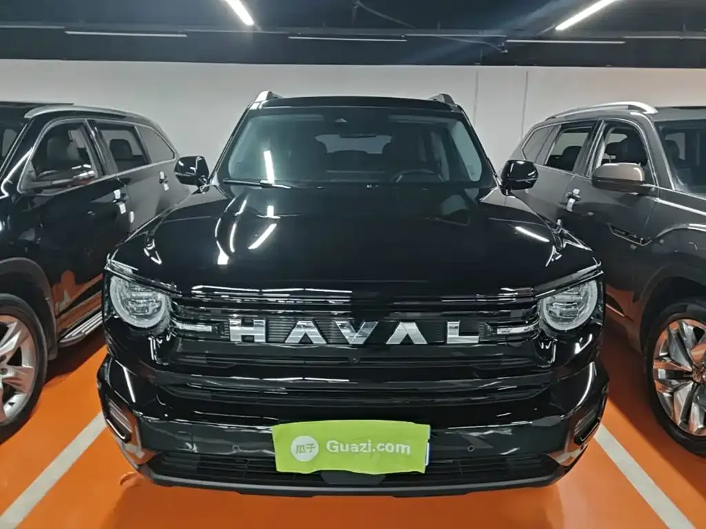 Haval Big Dog PLUS — фото 9