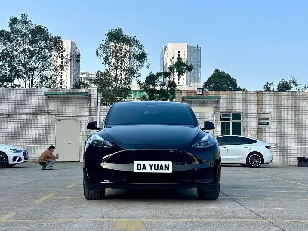 Tesla Model Y — фото 3