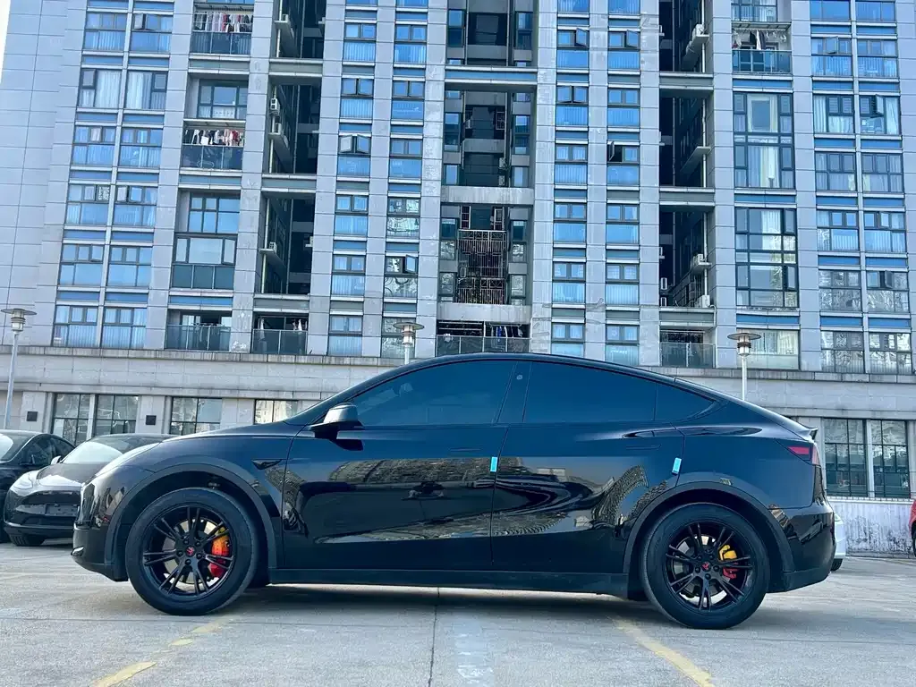 Tesla Model Y — фото 10