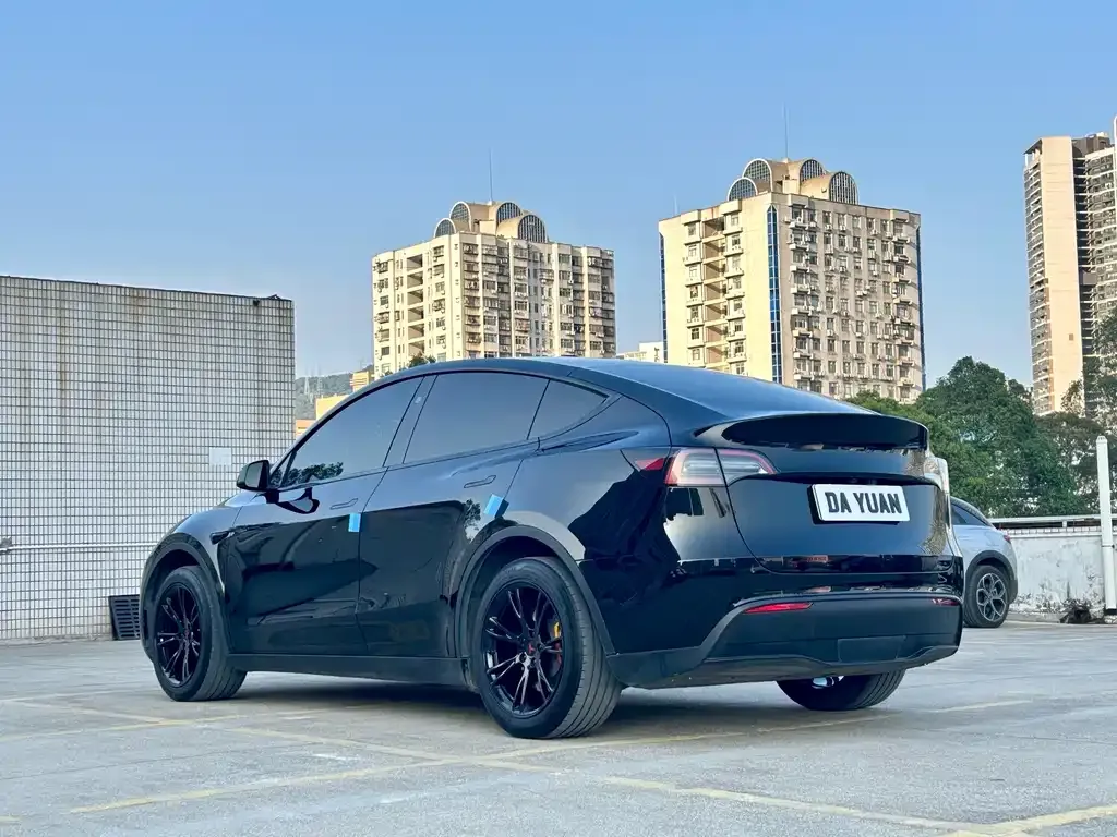Tesla Model Y — фото 2