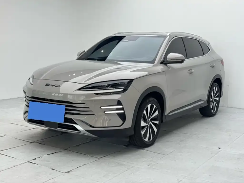BYD PLUS New Energy — фото 1